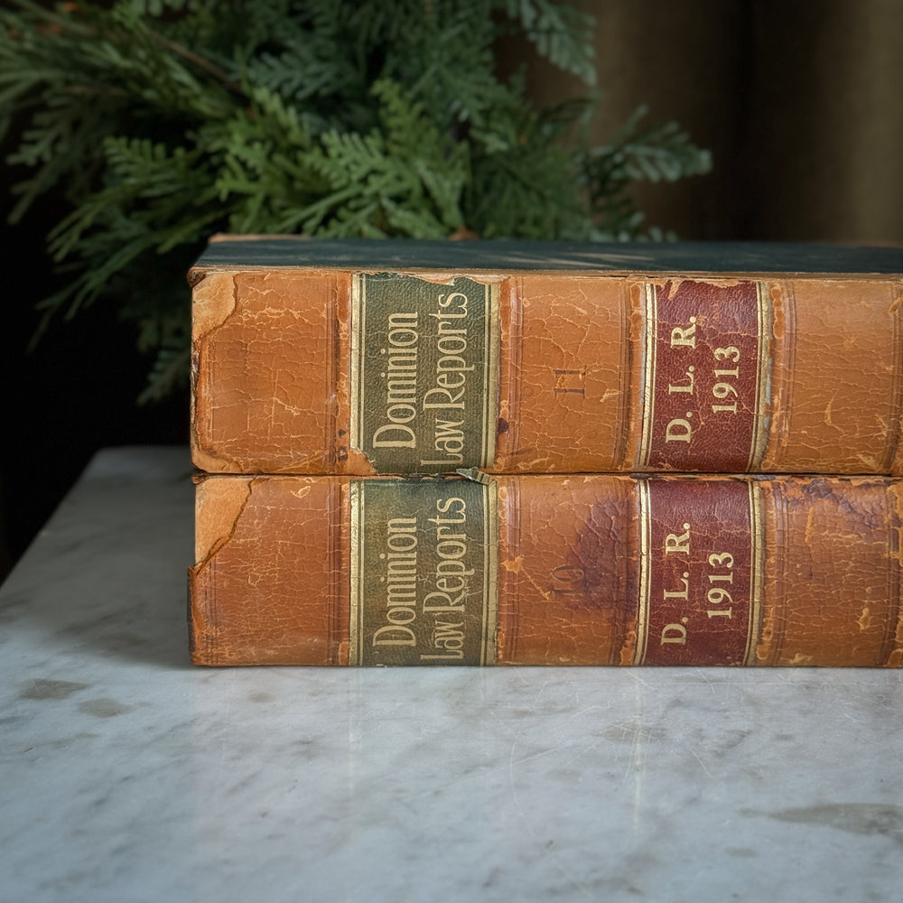 Antique Dominion Leather Law Book Pair.
