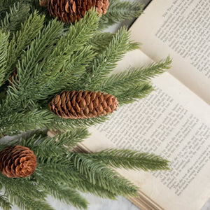 Spruce Stem with pinecones.