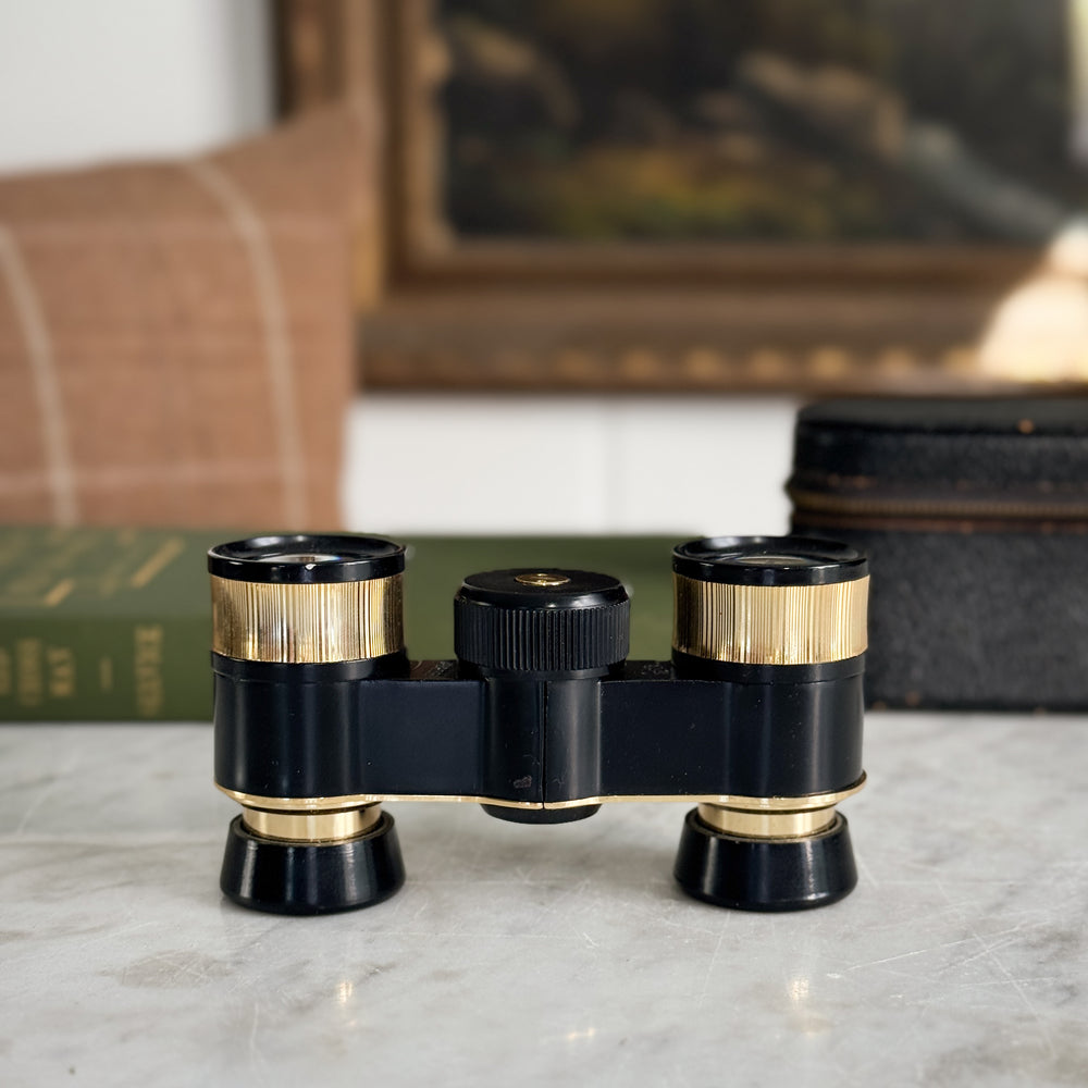 Vintage Opera Glasses in Case.