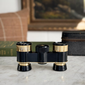 Vintage Opera Glasses in Case.