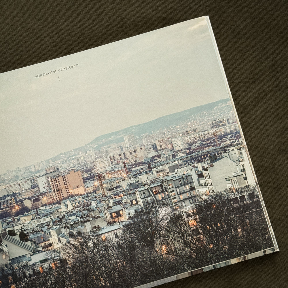 Rooftop Paris: A Panoramic View of the City by Laurent Dequick