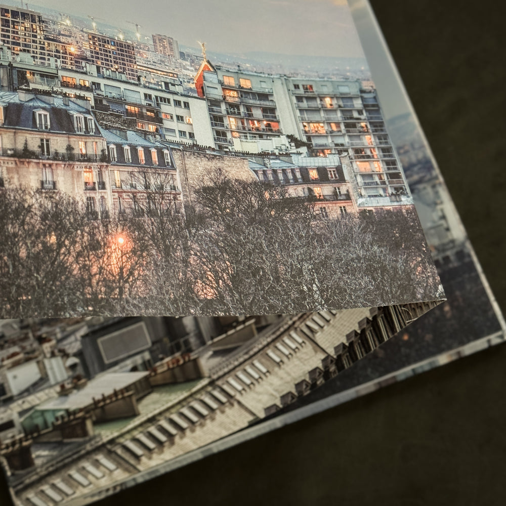 Rooftop Paris: A Panoramic View of the City by Laurent Dequick