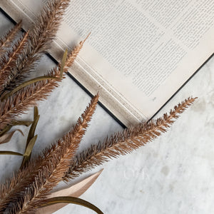 Bristlegrass Faux Stem