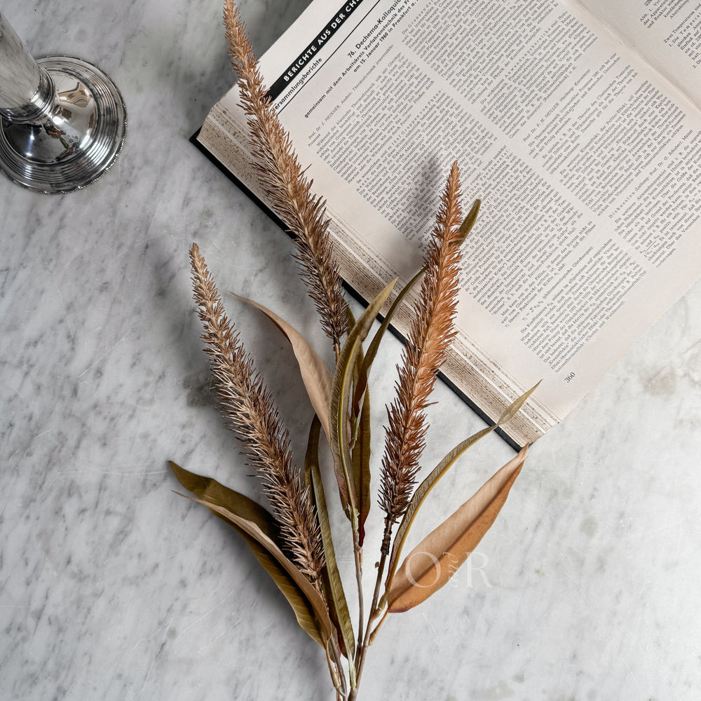 Bristlegrass Faux Stem