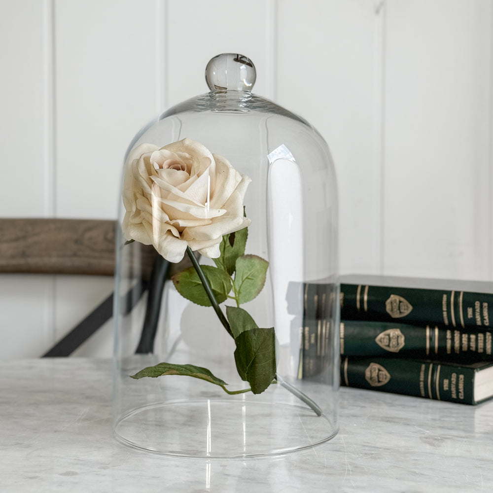 Vintage Glass Cloche