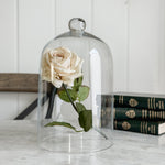 Vintage Glass Cloche