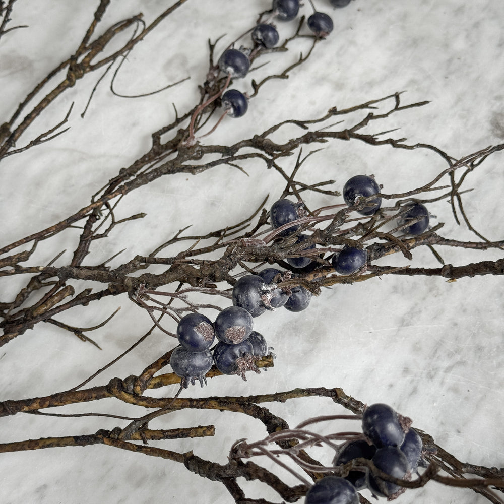Winter Berry Stem.