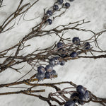 Winter Berry Stem.