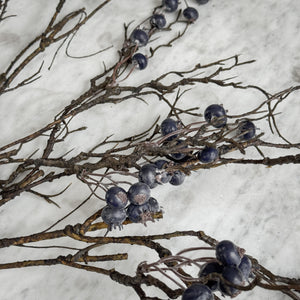 Winter Berry Stem.
