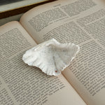 Vintage white clam shell small