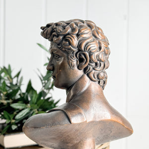 Vintage bronze colour David statue.