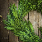 Thick Norfolk Pine Garland.