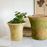 Terracotta English Wall Planter - two sizes available