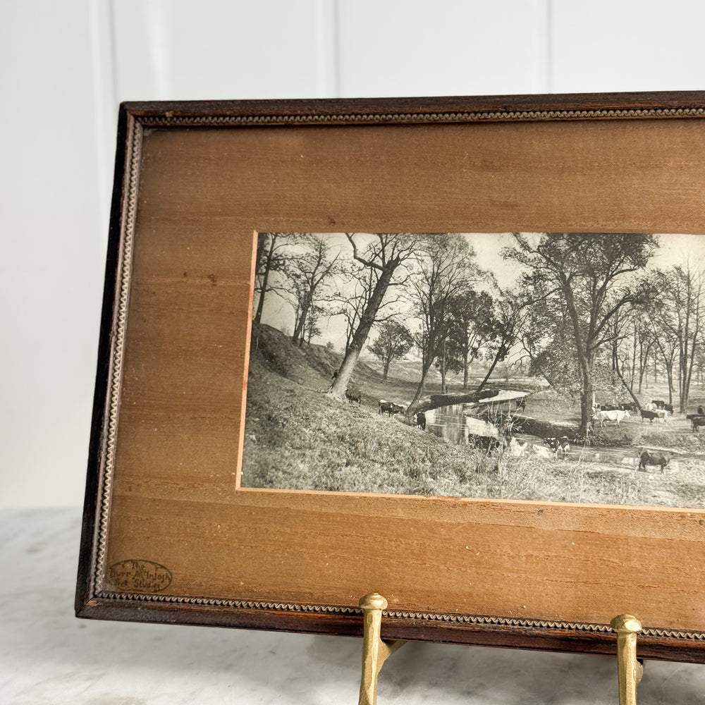 Vintage Wooden Framed River Cattle Print.