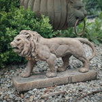 Aged brown Concrete Lion Statue.