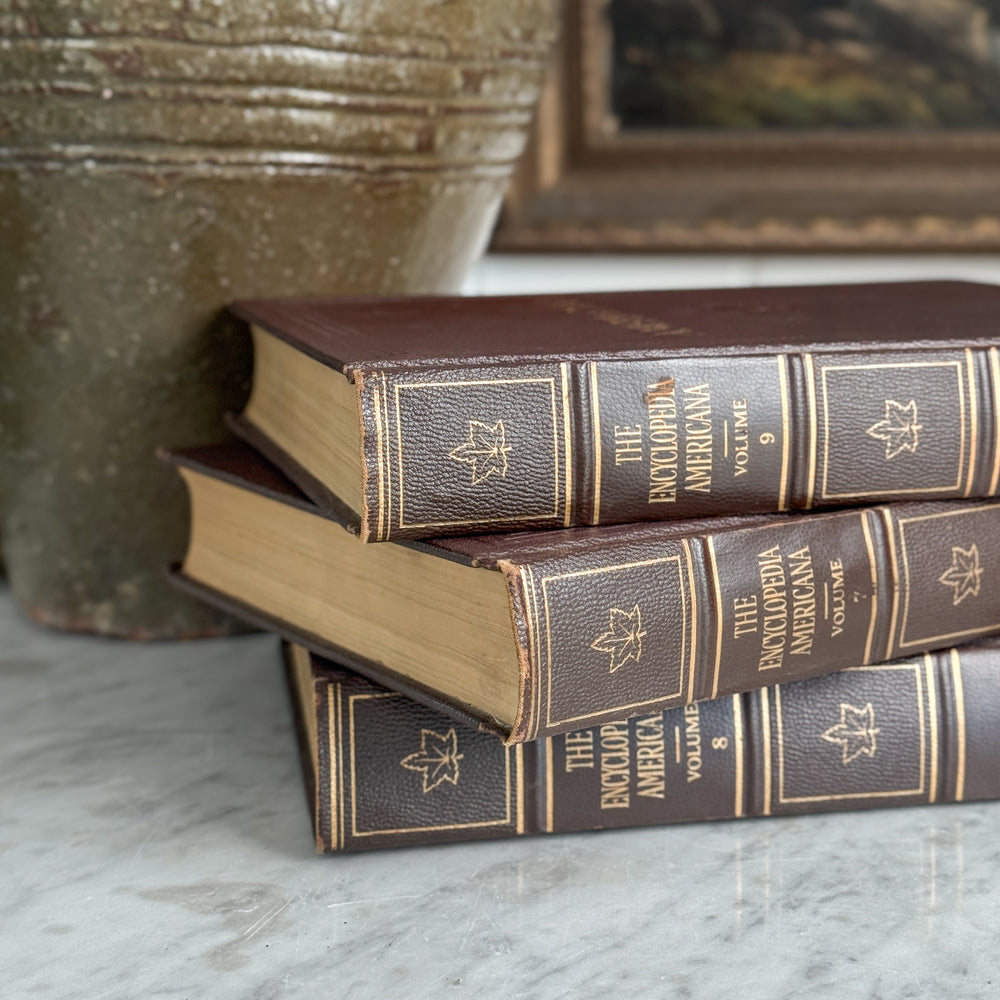 Vintage Ameri Cana Encyclopedia Book