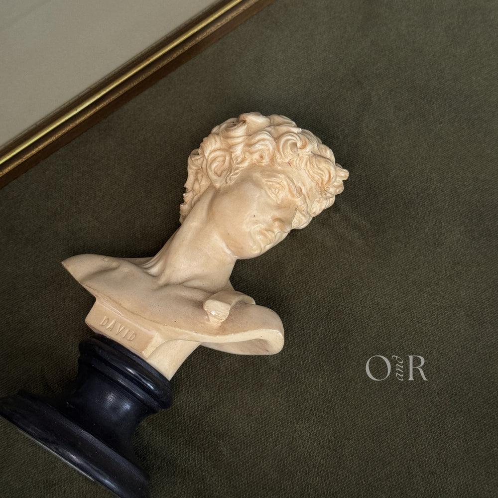 Vintage David bust.