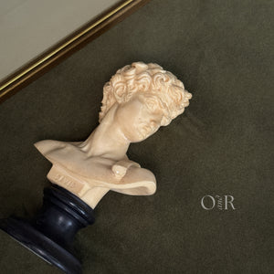 Vintage David bust.
