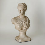 Vintage Lady Bust.