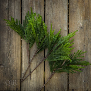 Pine Spray.