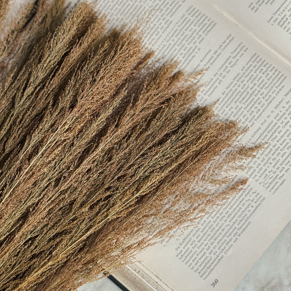 Vintage Dried Grass Bundle.