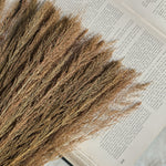 Vintage Dried Grass Bundle.