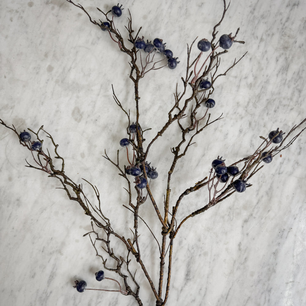 Winter Berry Stem.