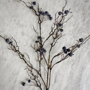 Winter Berry Stem.