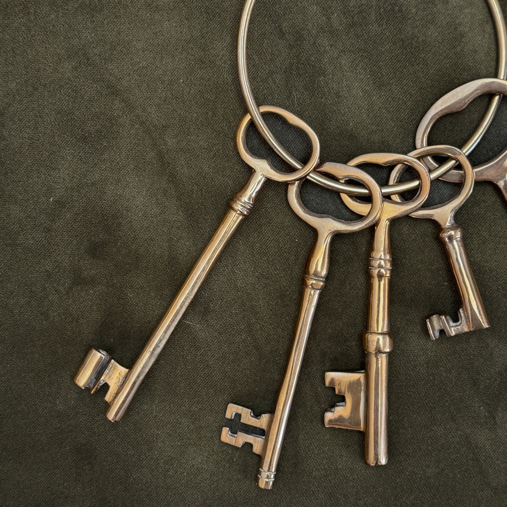 Vintage brass skeleton key set.