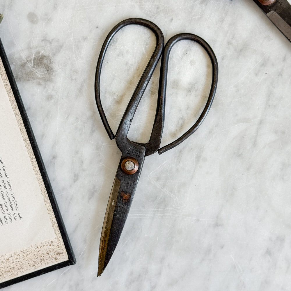 Vintage Garden Scissors