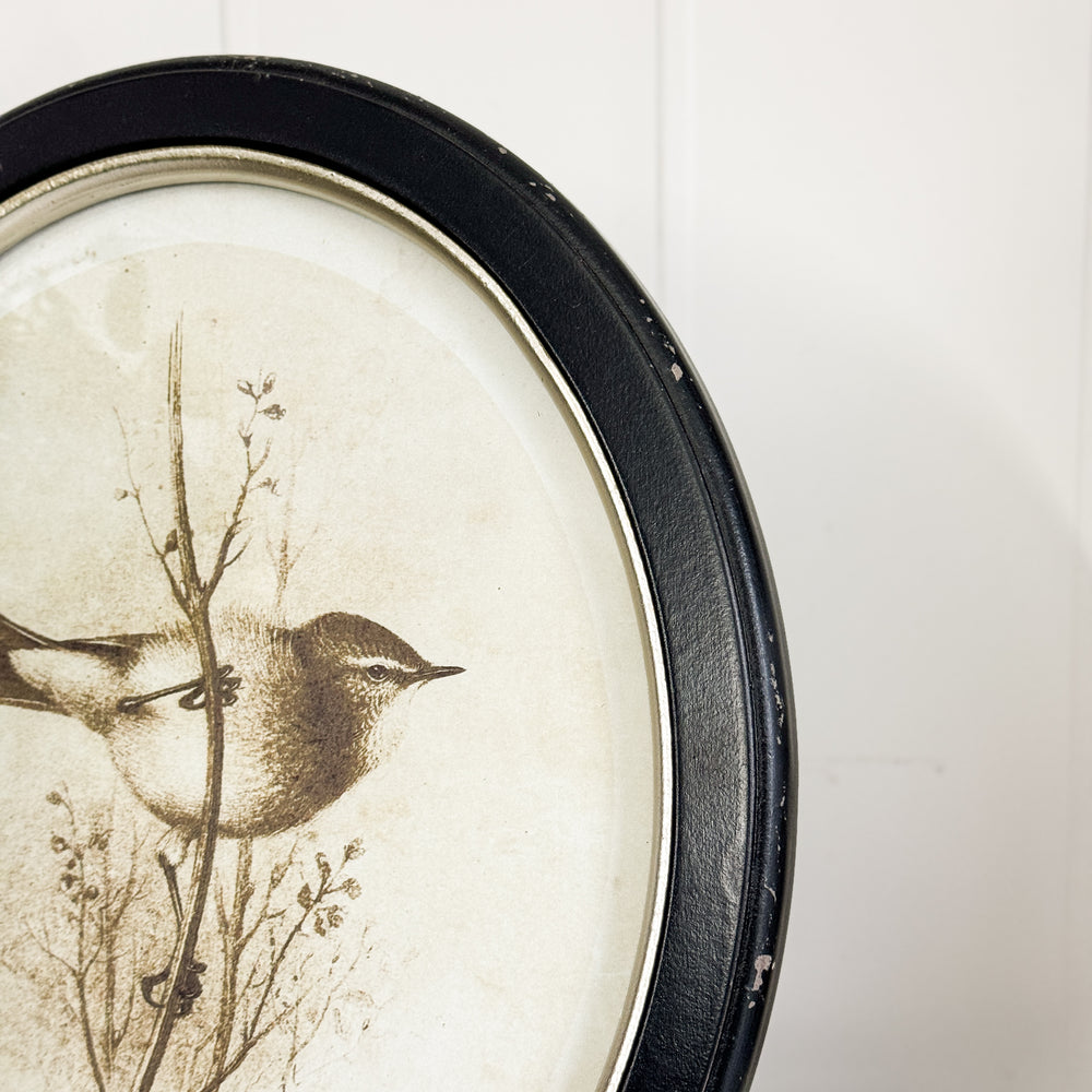 
                
                    Load image into Gallery viewer, Oval Wood Bird Print - Male Warbler.
                
            