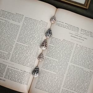 Vintage set of 5 brown cowrie shells