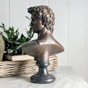 Vintage bronze colour David statue.