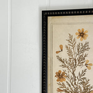 Botanical Framed Art- Flowers from Bethlehem.