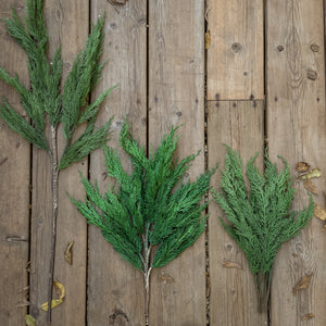 Medium Wispy Cedar Stem