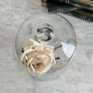 Vintage Glass Cloche