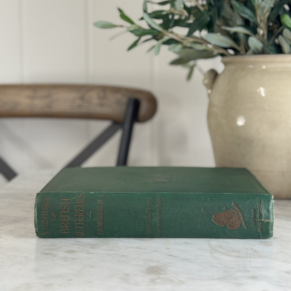 Antique A History of British Butterflies Book