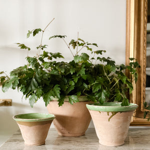 
                
                    Load image into Gallery viewer, Green Potted Bowl
                
            