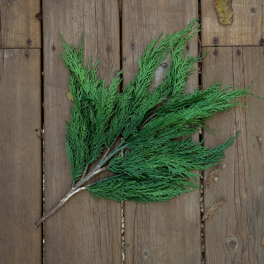 Medium Wispy Cedar Stem