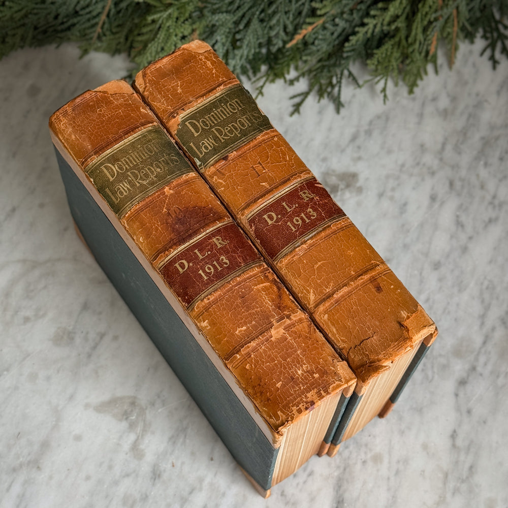 Antique Dominion Leather Law Book Pair.