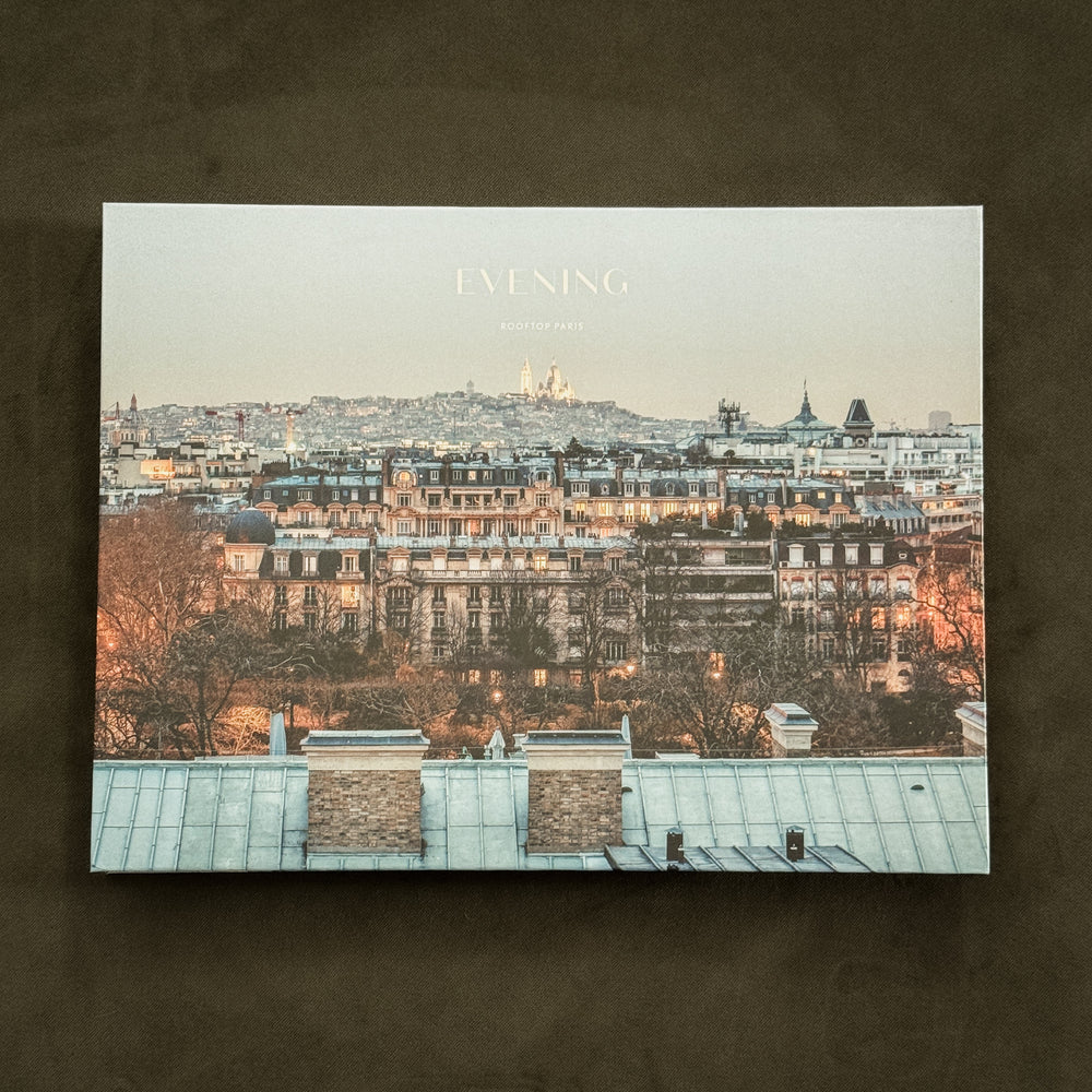 Rooftop Paris: A Panoramic View of the City by Laurent Dequick