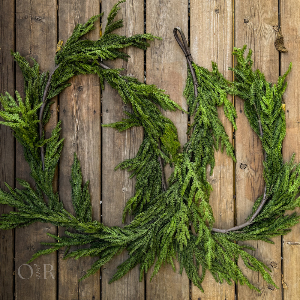 Long Norfolk Pine Garland.