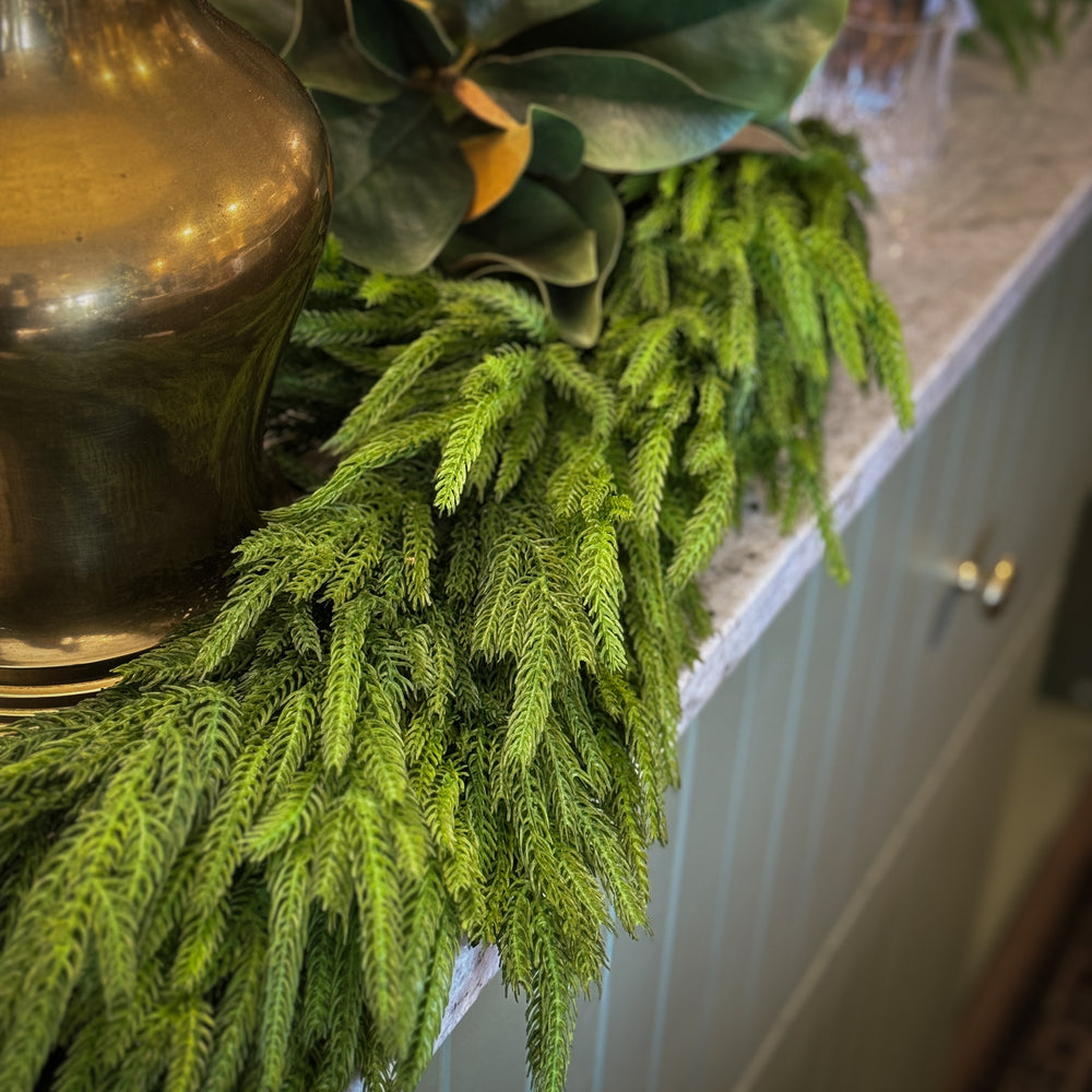 Thick Norfolk Pine Garland.