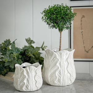 White Cabbage Leaf Pot.