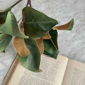 Large Magnolia Faux Stem.