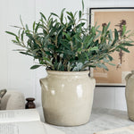 Antique Cream Confit Pot IX - FRANCE