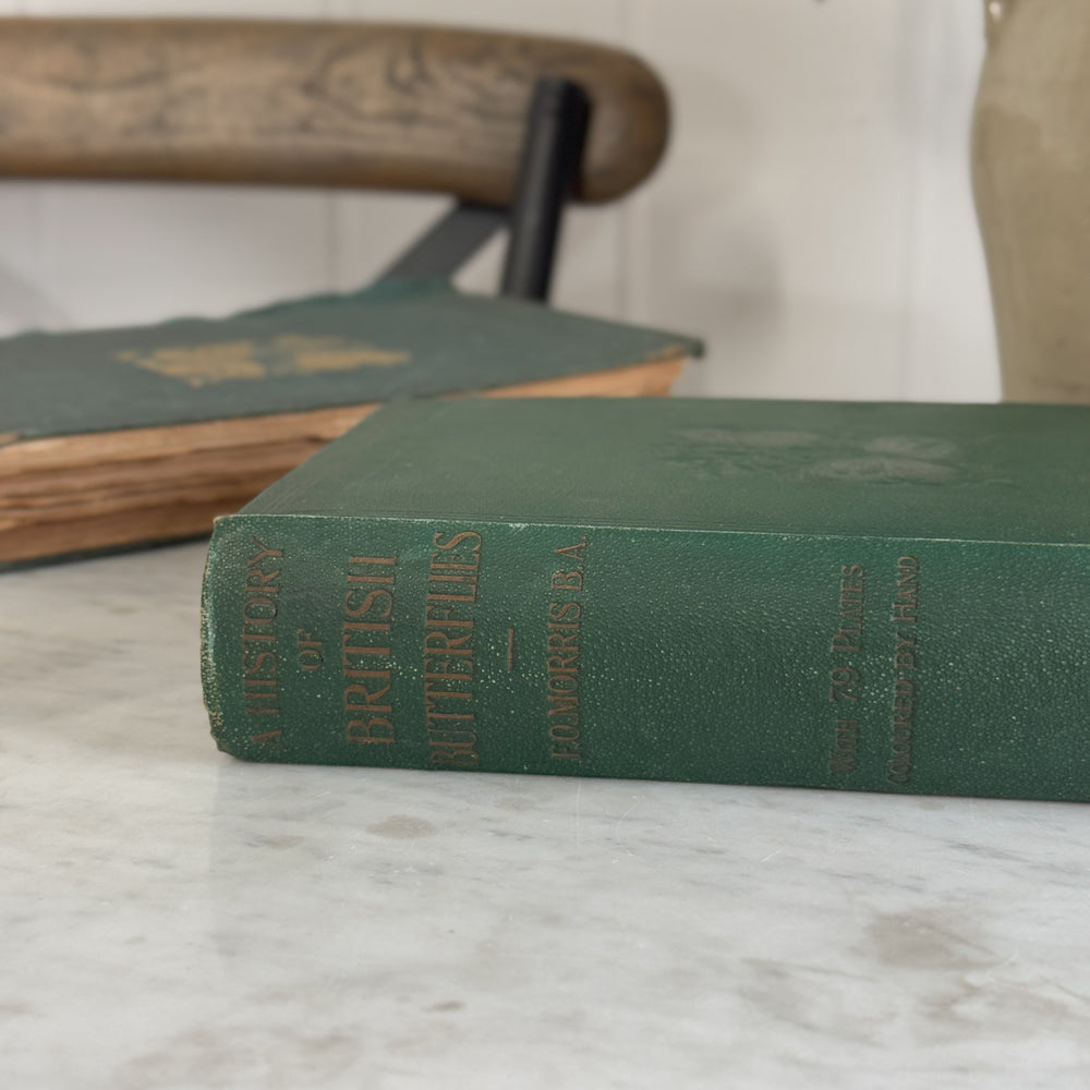Antique A History of British Butterflies Book