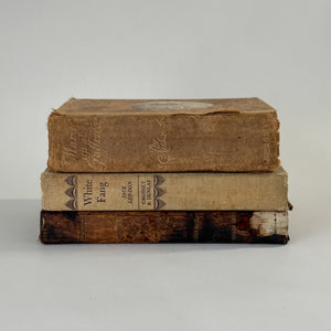 Antique Book Set.