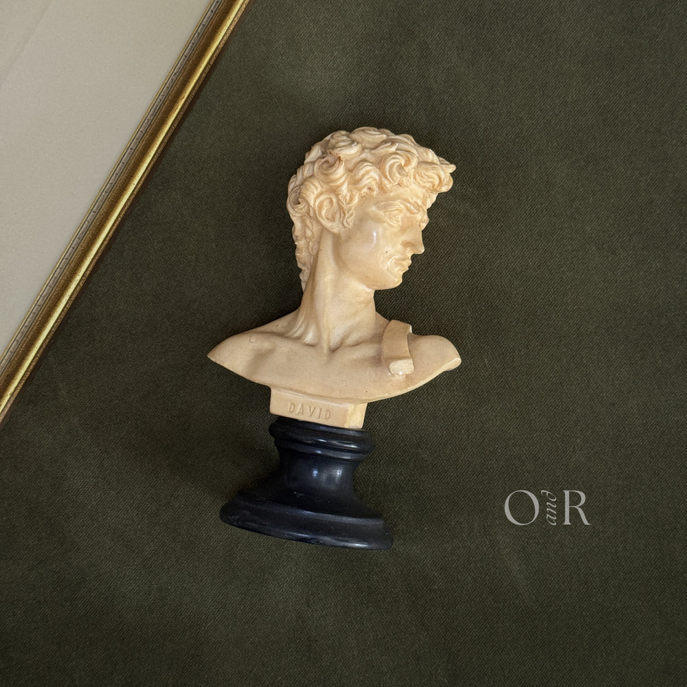 Vintage David bust.