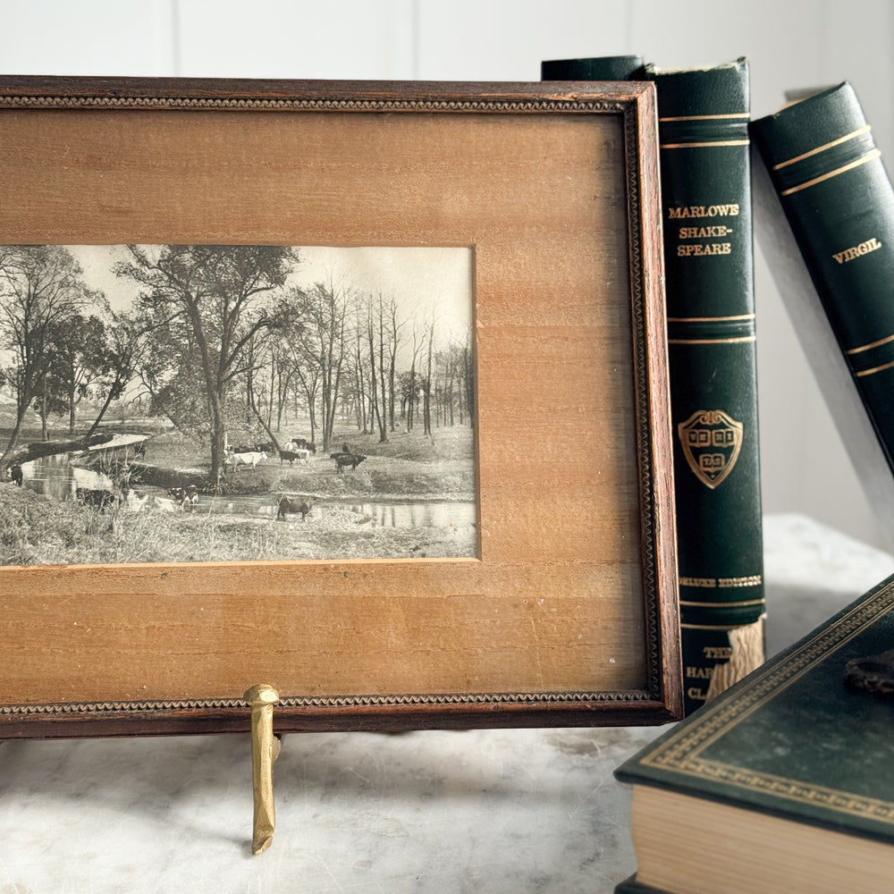 Vintage Wooden Framed River Cattle Print.